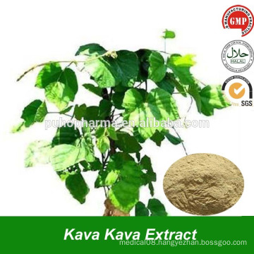 Herbal Kava Kava Root Extract Powder with Kavalactones Extract from Kava Plant